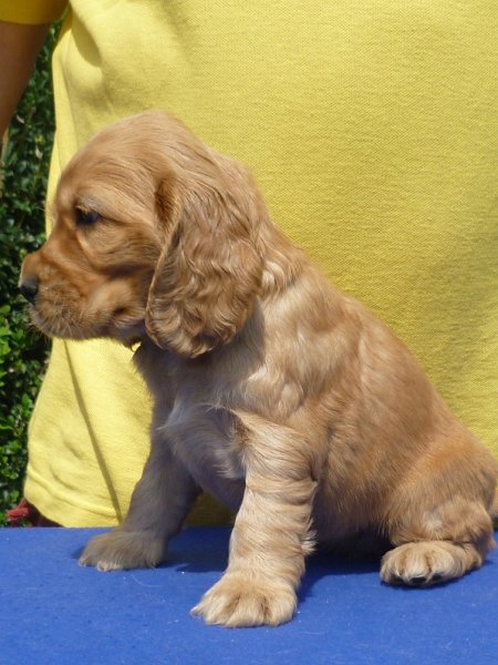 1. Gapy pod Ořechem-růžová.JPG